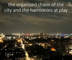the organized chaos of the city and the harmonies at play